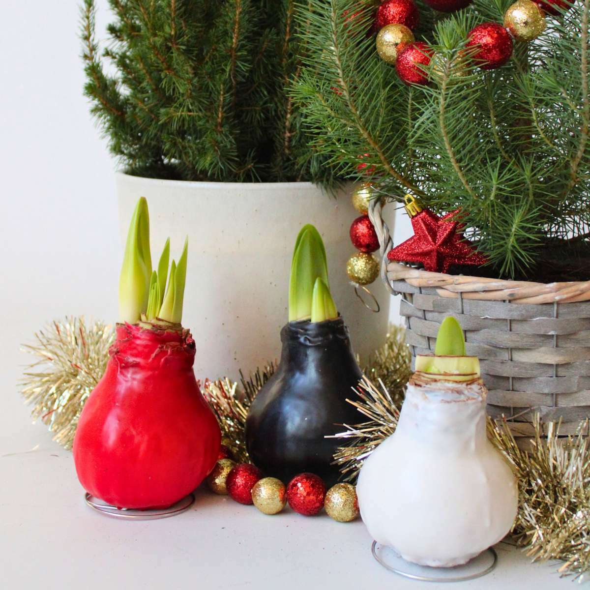 Wax_Atmosphere_01_36078305-512c-4c13-bbb6-a2108b68c9b7