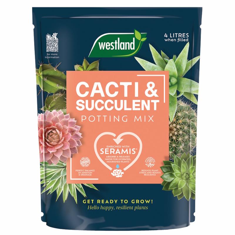 Bag of Westland Cacti and Succulent Potting Mix Peat Free 4L