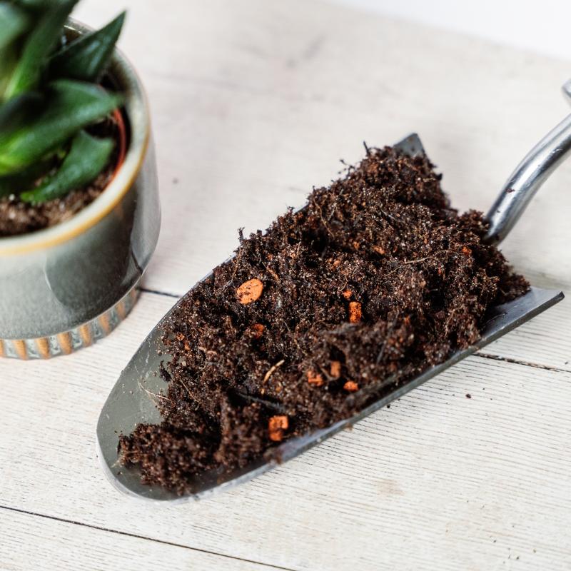 Westland Cacti and Succulent Potting Soil on a trowel