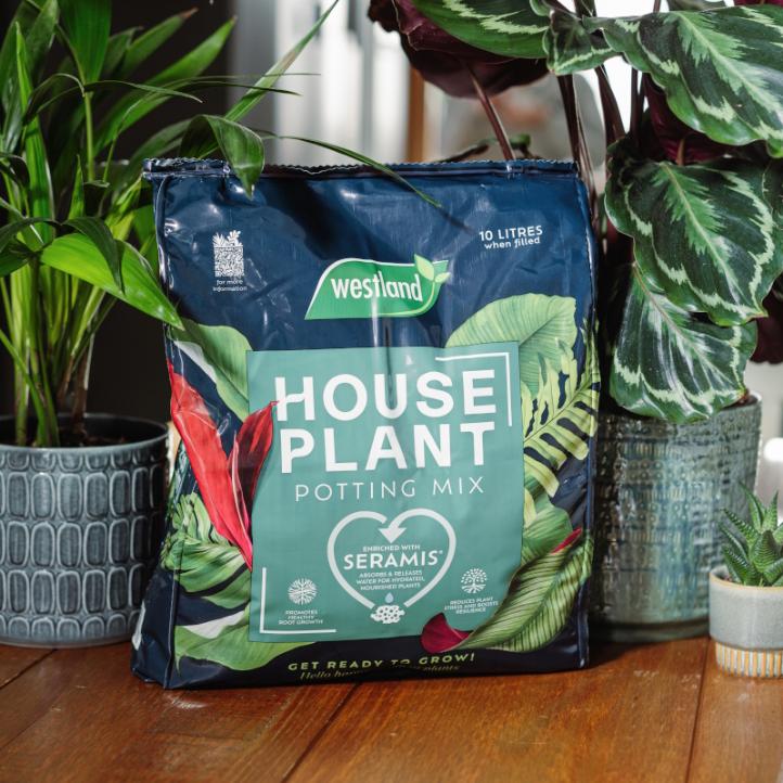 Westland Houseplant Potting Mix Peat Free 4L