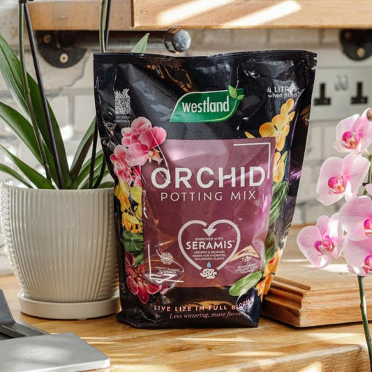 Westland Orchid Soil (Enriched with Seramis) 4L