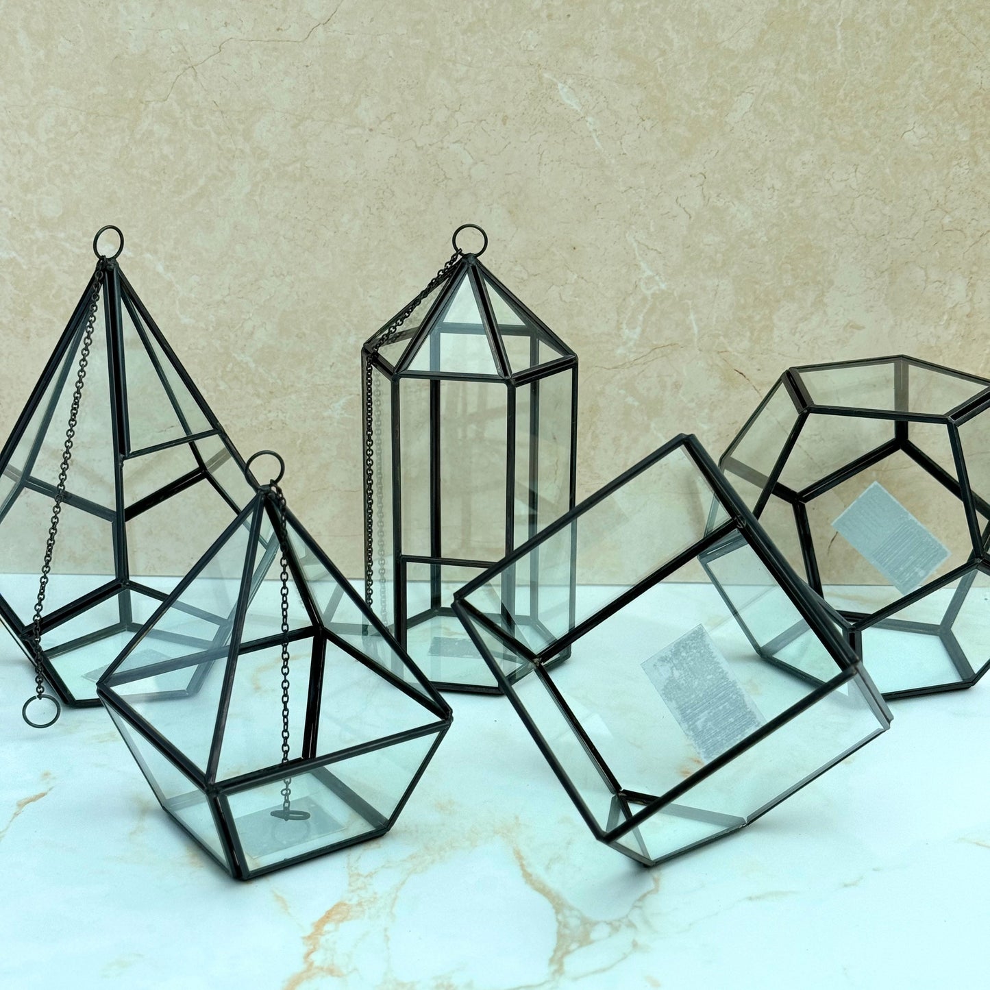 Air Plant Terrarium Kit Geometric