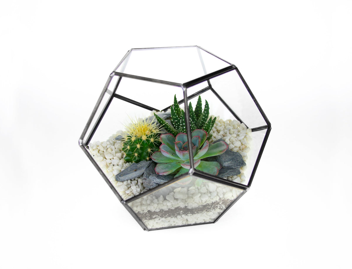 The Geode  - Geometric Terrarium with Cactus & Succulent Mix