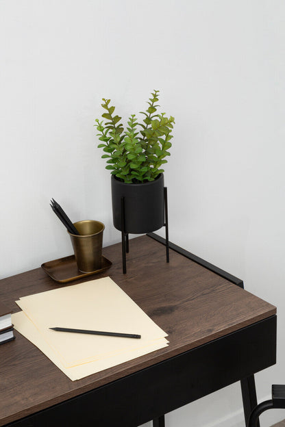 Thyme in Black Pot with Stand | Fiori