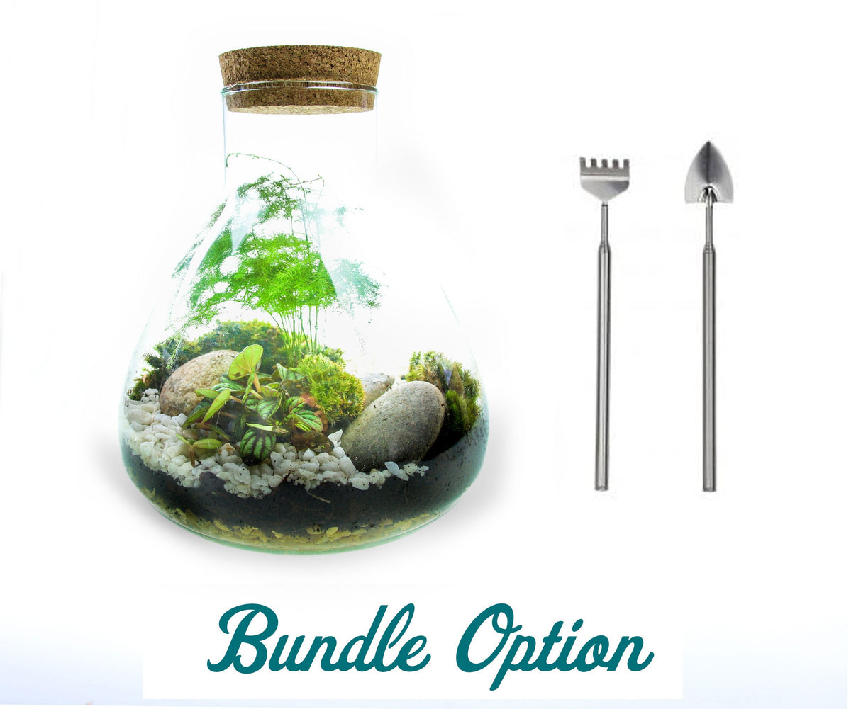 The Flask - Angular Closed Terrarium Kit with Living Plants