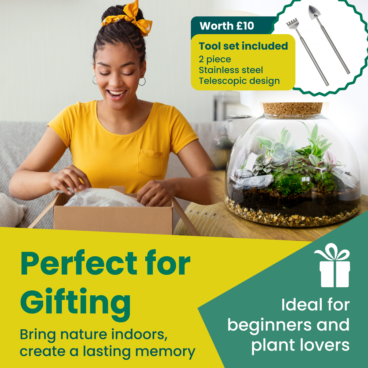 The Dome - Glass Domed Terrarium with Living Plants