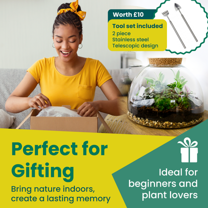 The Dome - Glass Domed Terrarium with Living Plants