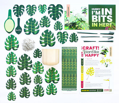 Monstera Deliciosa Cheese Plant Botanical Craft Kit by Plantlike