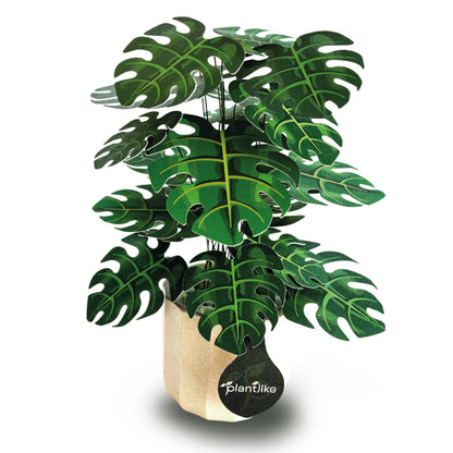 Monstera Deliciosa Cheese Plant Botanical Craft Kit by Plantlike