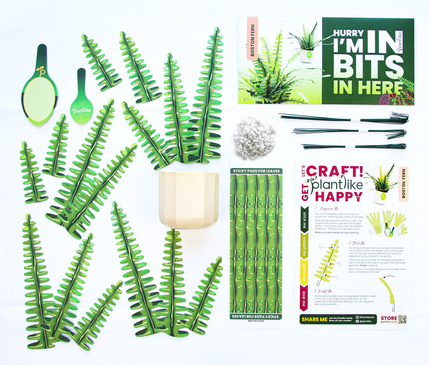 Artificial Boston Fern - Botanical Craft Kit by Plantlike
