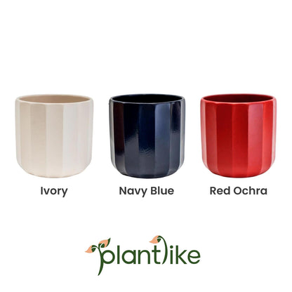 Artificial Prayer Plant — Botanical Craft Kit by Plantlike