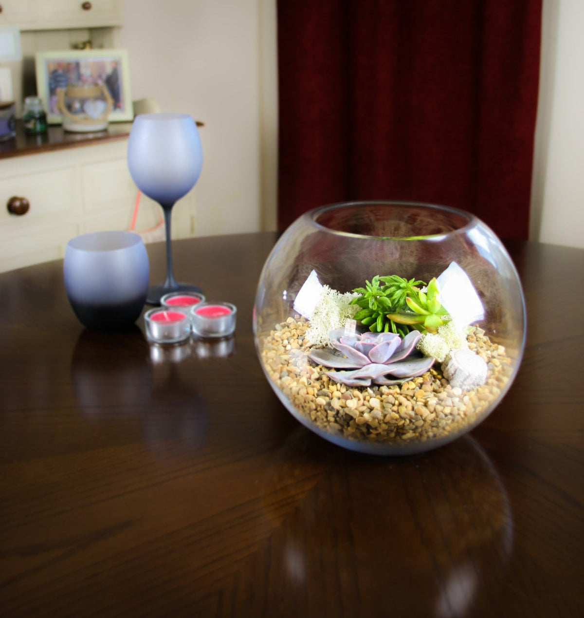 The Haven - Glass Globe Terrarium with Succulent Plants