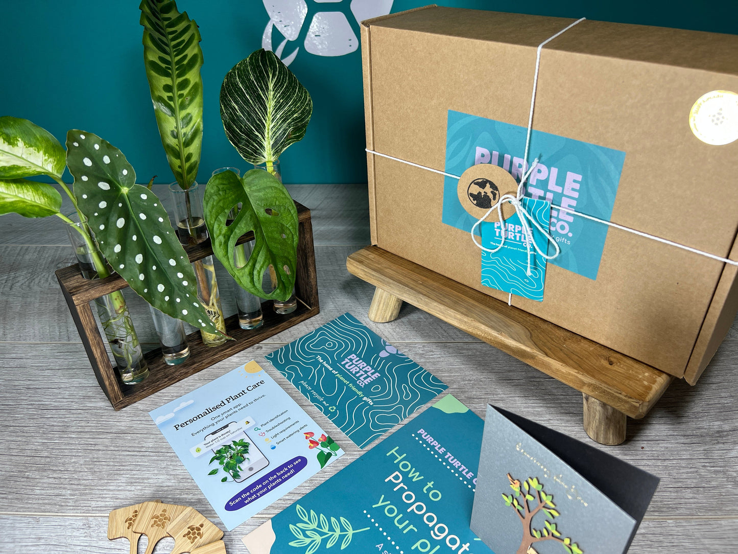 Plant Propagation Gift Set #7