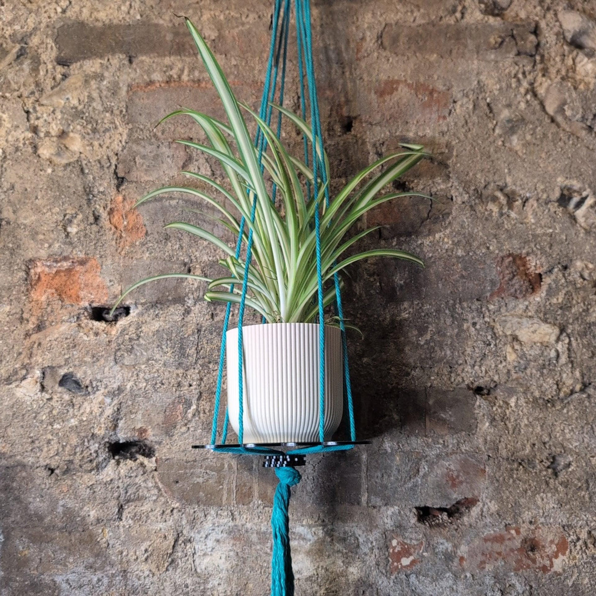 Ada Binks Floral Plant Hanger