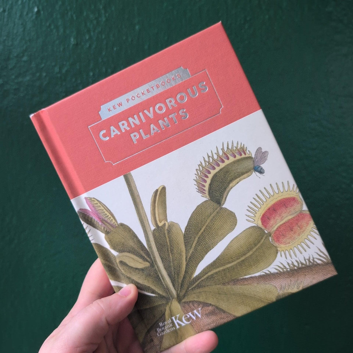 Kew Pocketbooks: Carnivorous Plants Book