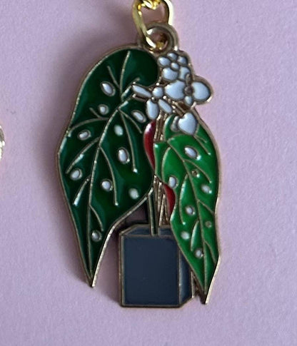 Houseplant Keyring's