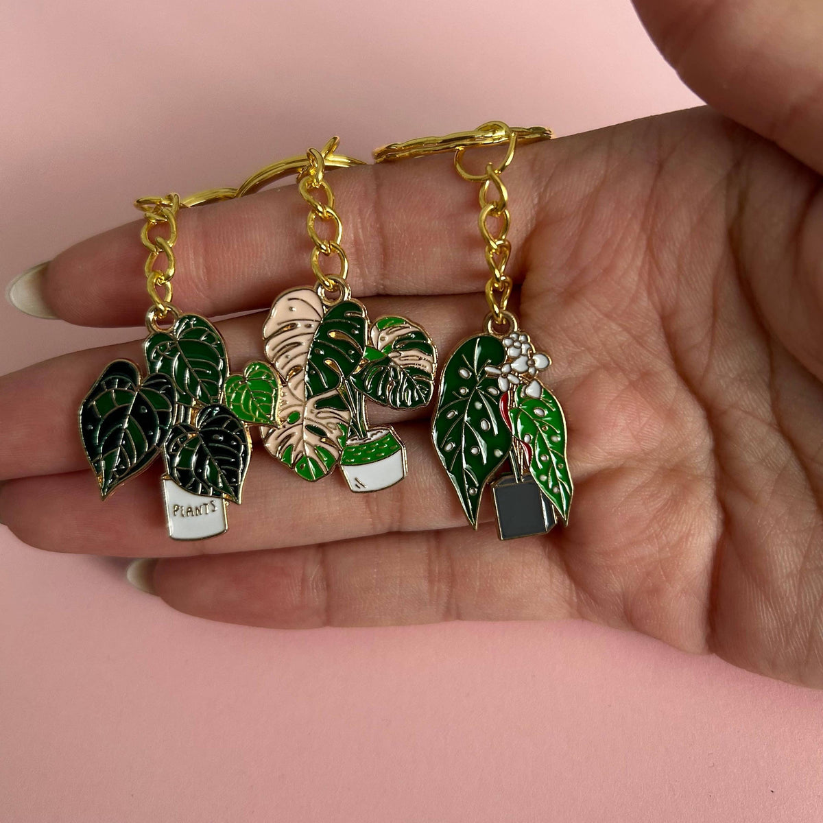 Houseplant Keyring's
