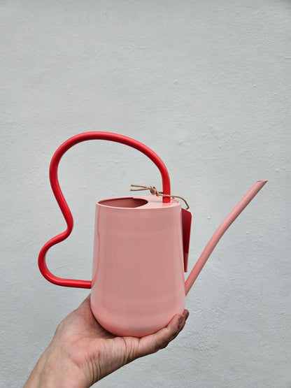 Scalloped Indoor Watering Can