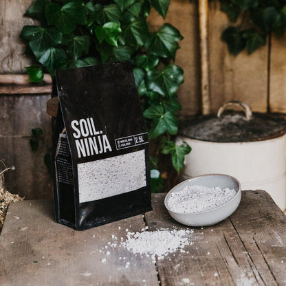 Perlite for Plants - Soil Ninja