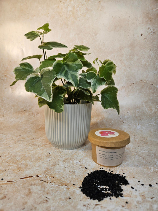 Activated Charcoal for Indoor Plants