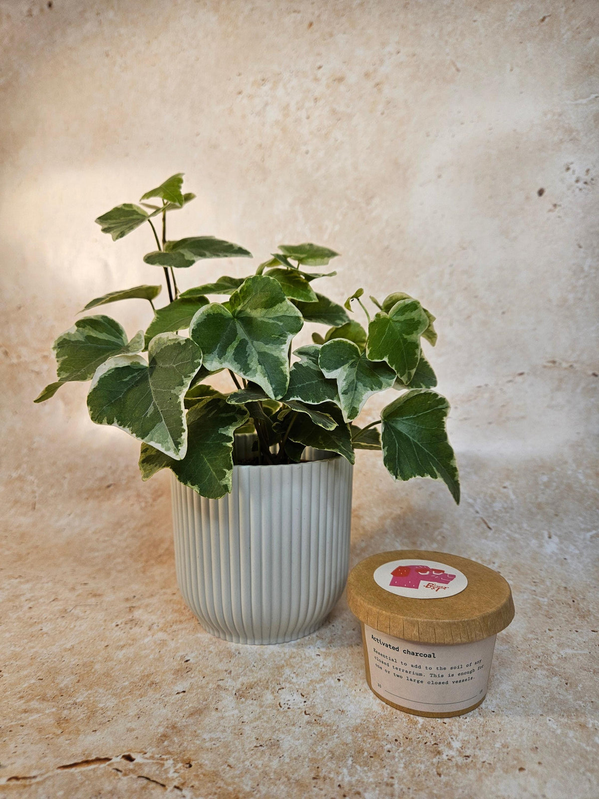 Activated Charcoal for Indoor Plants