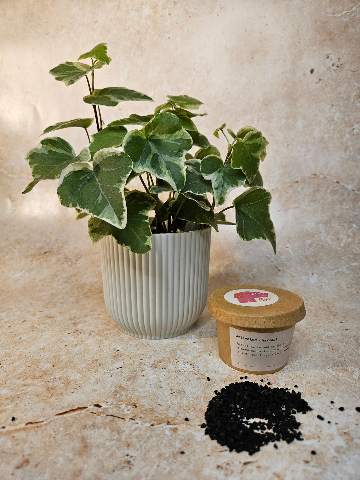 Activated Charcoal for Indoor Plants