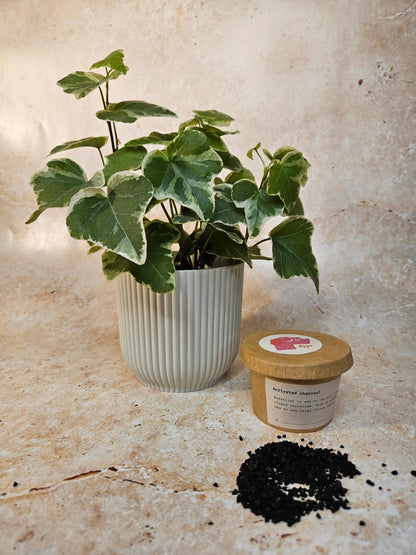 Activated Charcoal for Indoor Plants