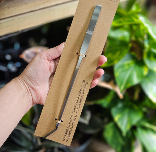 Long Handled Metal Tweezers for Terrariums & Plants
