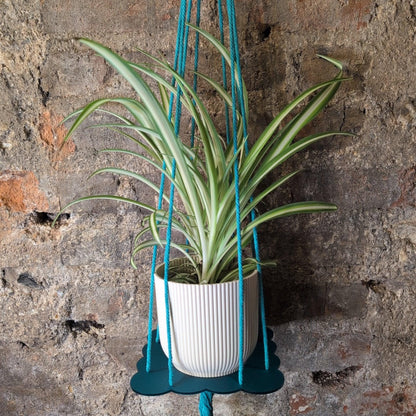 Ada Binks Floral Plant Hanger