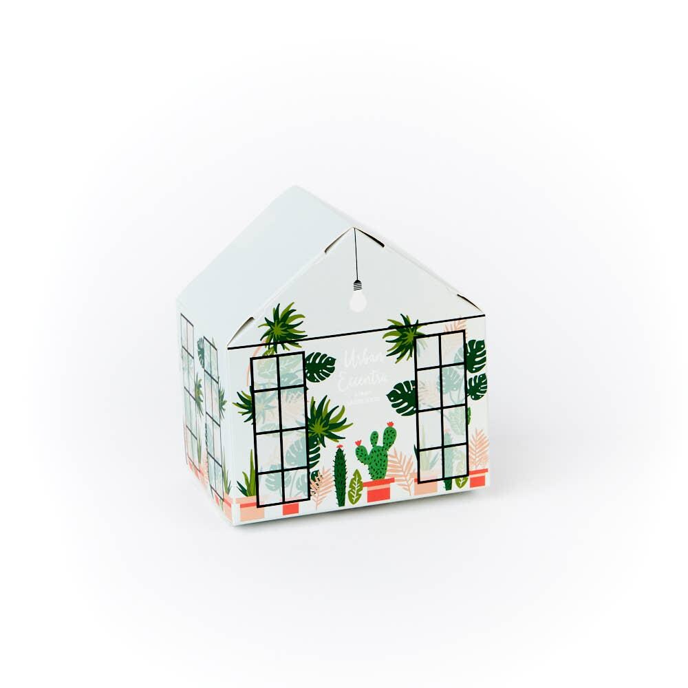 Greenhouse Socks Gift Set