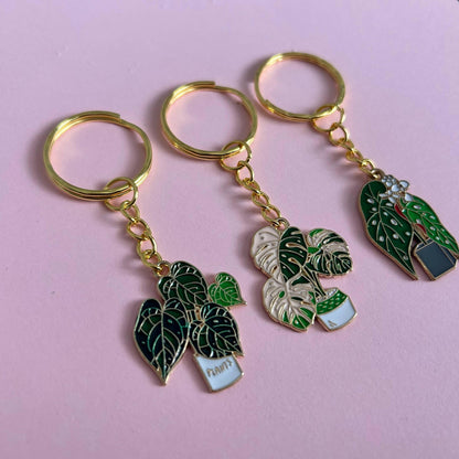 Houseplant Keyring's