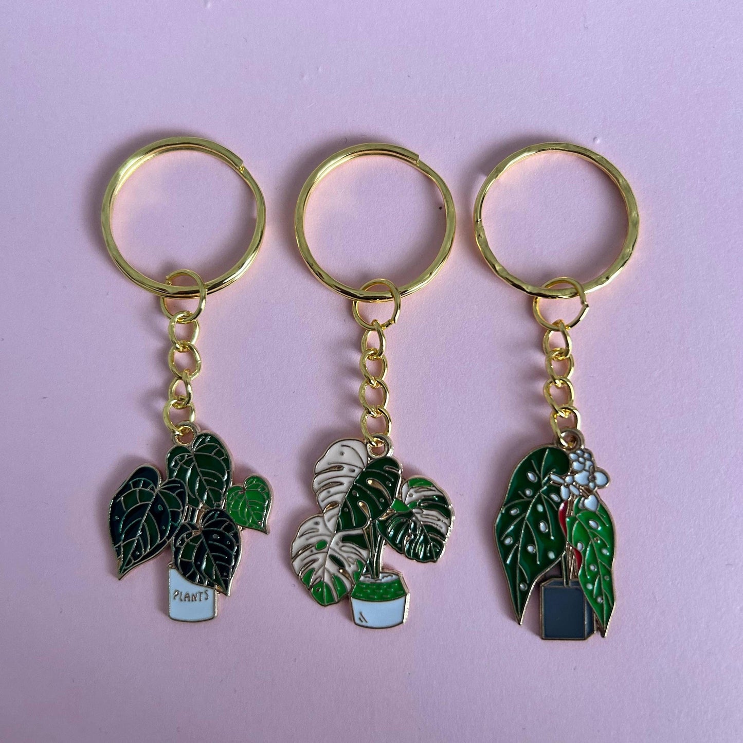 Houseplant Keyring's