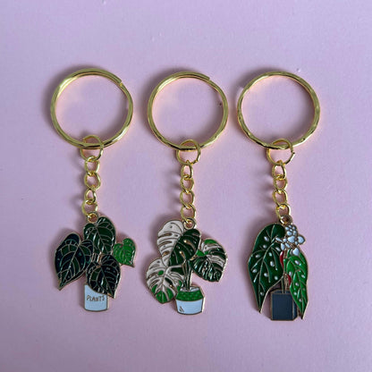 Houseplant Keyring's