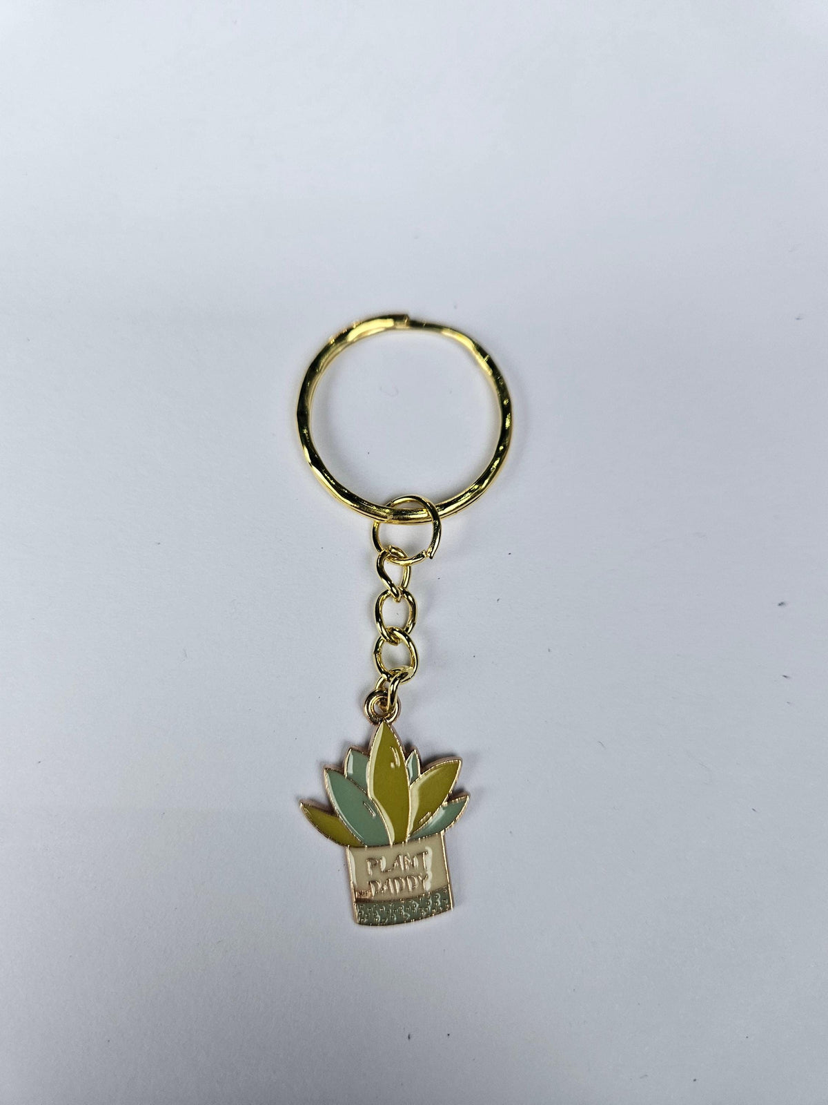 Houseplant Keyring's