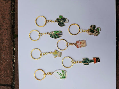 Houseplant Keyring's