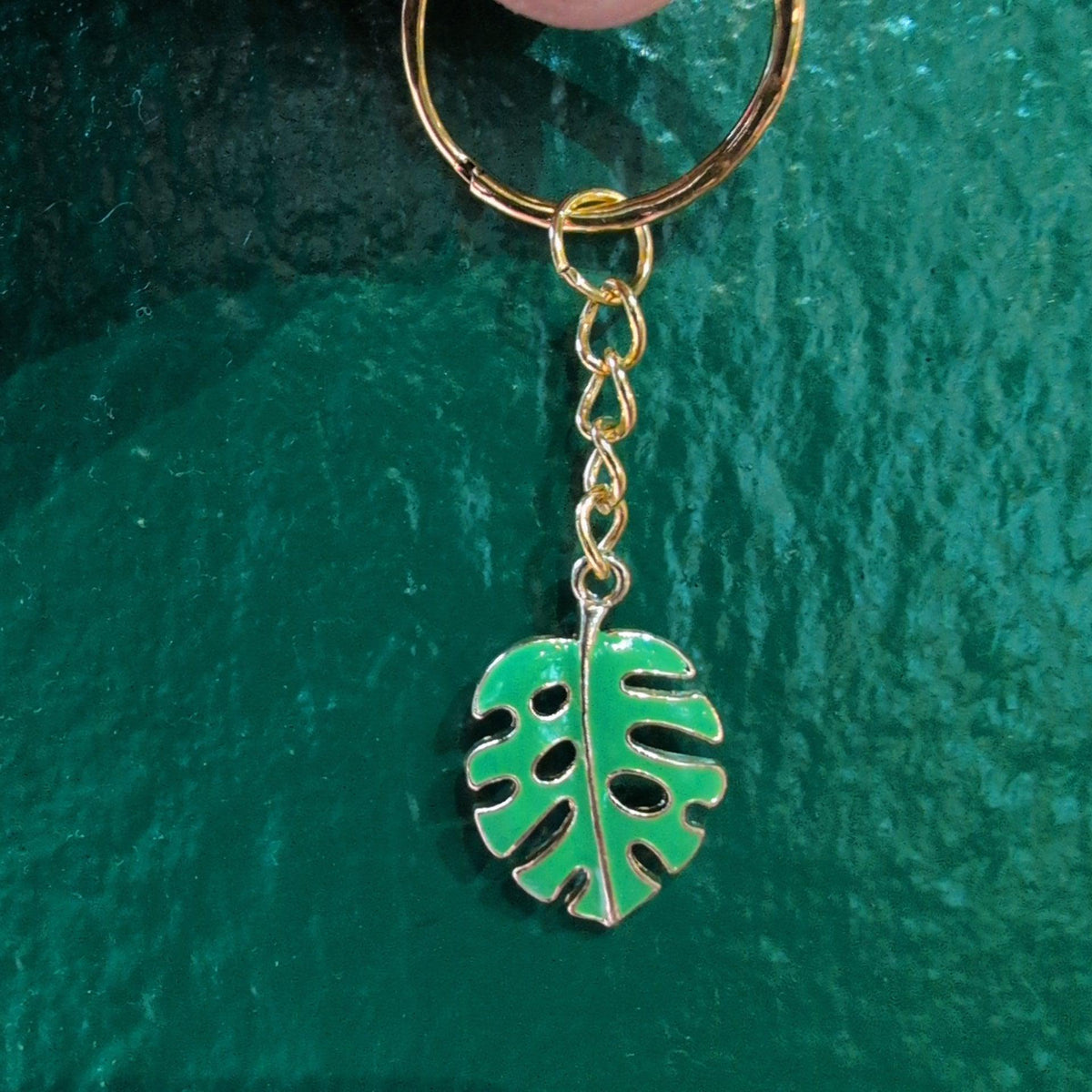 Houseplant Keyring's