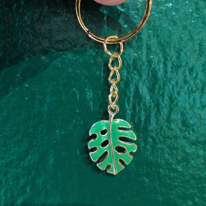 Houseplant Keyring's