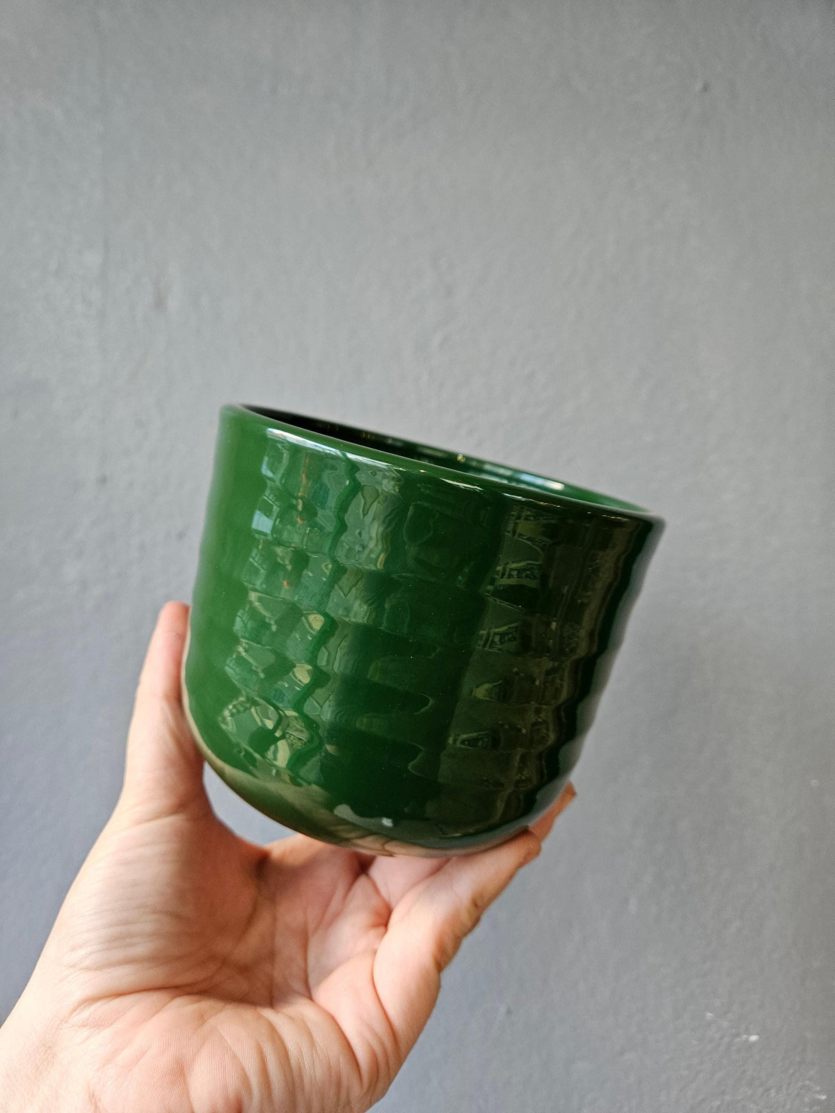 Poinsettia Ripple Effect Plant Pot Pot