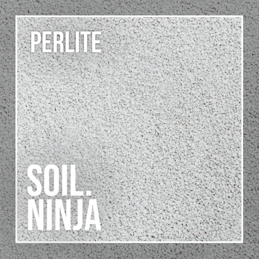 Perlite for Plants - Soil Ninja
