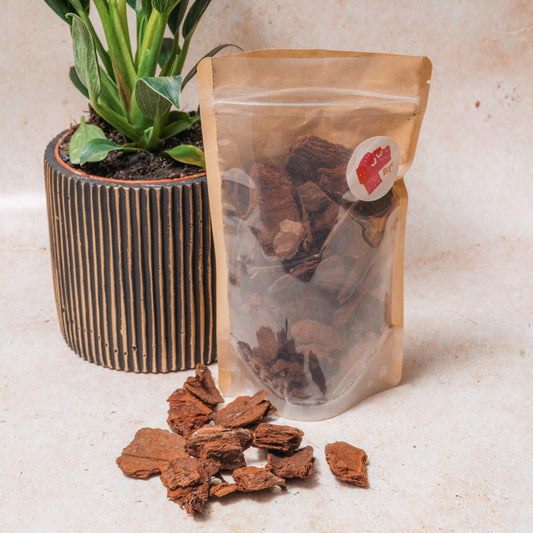 Decorative Bark for Terrarium