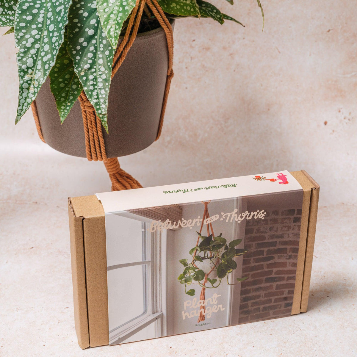 Macrame Pot Plant Hanger With Wooden Ring