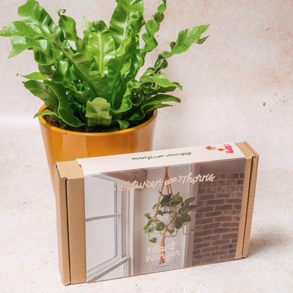 Macrame Pot Plant Hanger With Wooden Ring