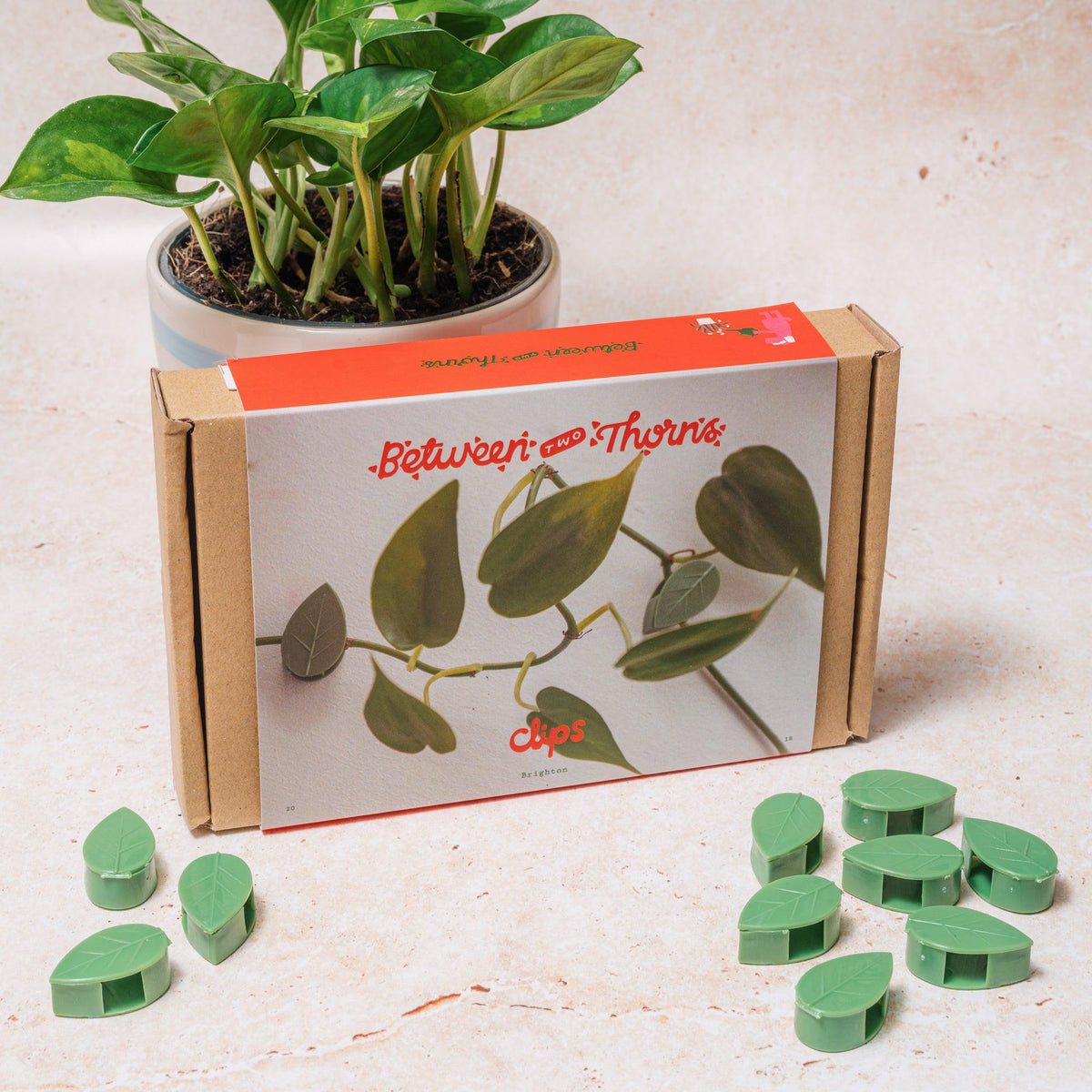 Climbing Plant Clips for Walls