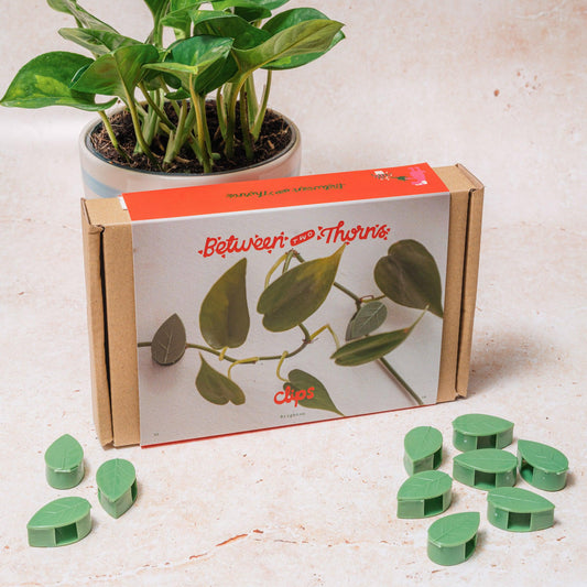 Climbing Plant Clips for Walls