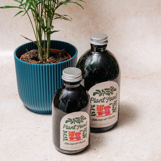 Liquid Seaweed Feed for Plants - Between Two Thorns