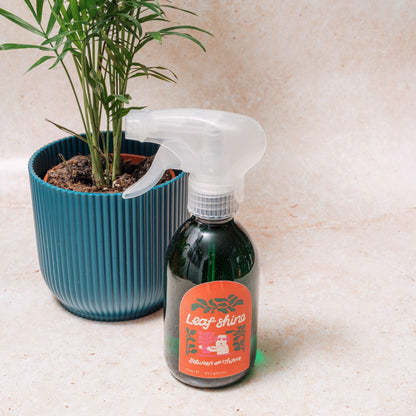 Leaf Shine Spray - Between Two Thorns