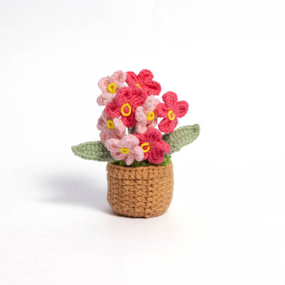 Forget-Me-Not Handmade Crochet Plant Gift