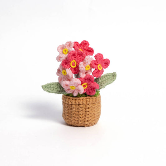 Forget-Me-Not Handmade Crochet Plant Gift