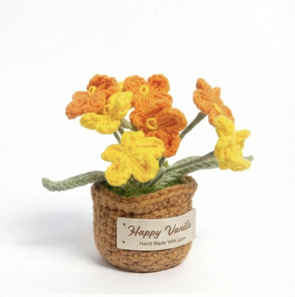 Forget-Me-Not Handmade Crochet Plant Gift