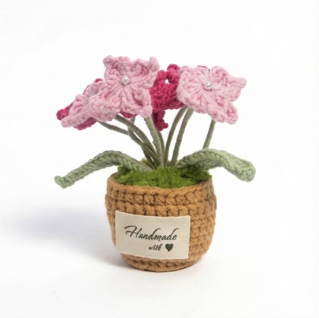 Forget-Me-Not Handmade Crochet Plant Gift